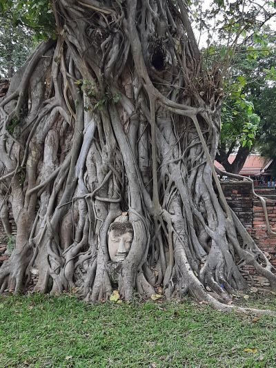 ayuttaia p1